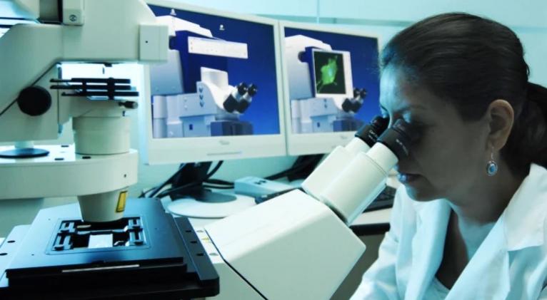 Cuba e Italia lideran estudio internacional sobre planta medicinal Cuba e Italia lideran estudio internacional sobre planta medicinal