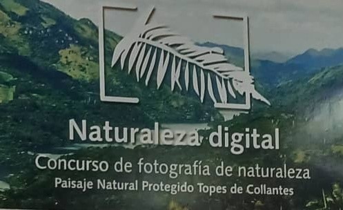 Concurso de Fotografía ¨Naturaleza Digital 2025¨ Concurso de Fotografía ¨Naturaleza Digital 2025¨